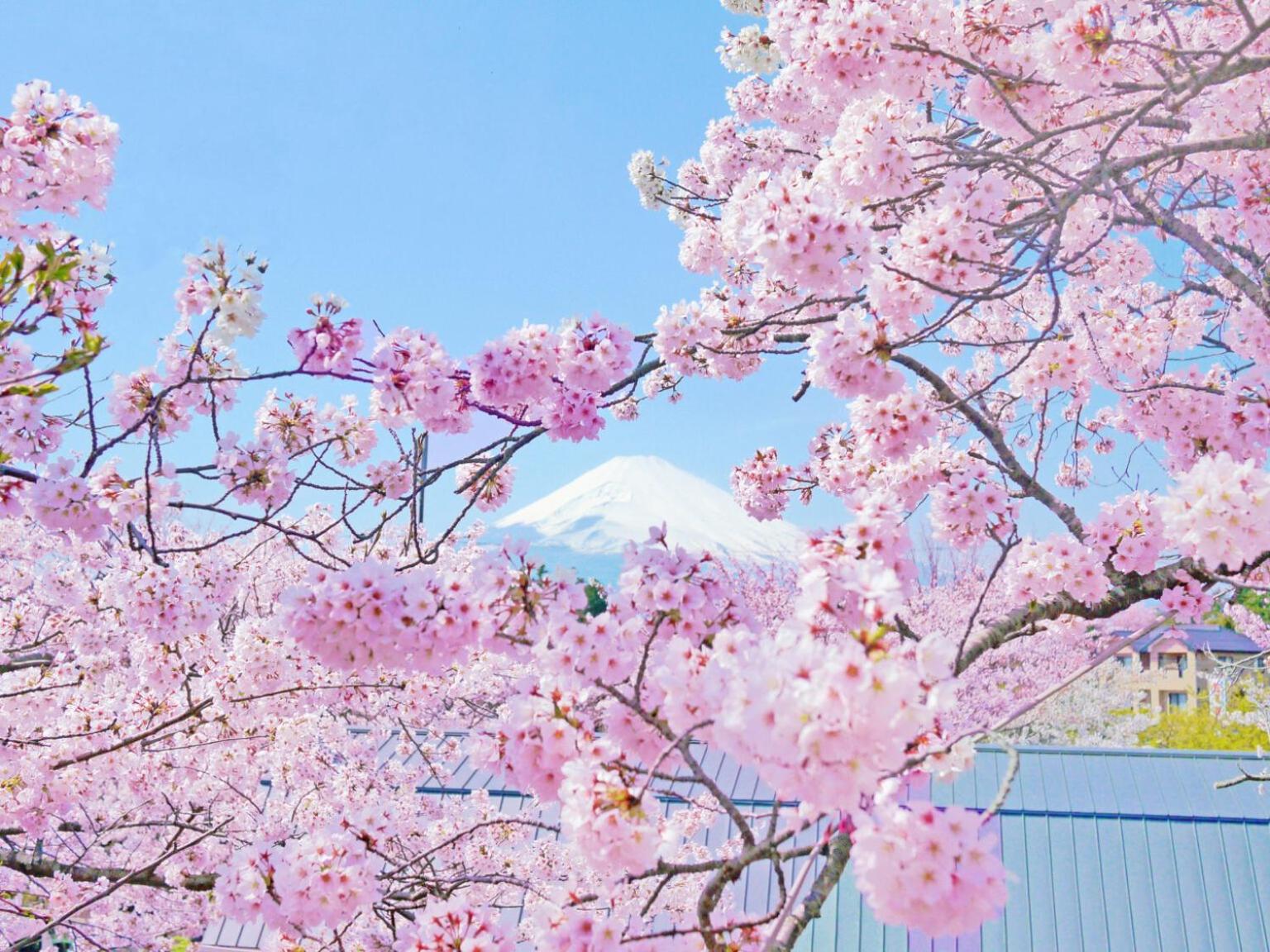 Gotemba Kogen Tokinosumika Hotel Kültér fotó